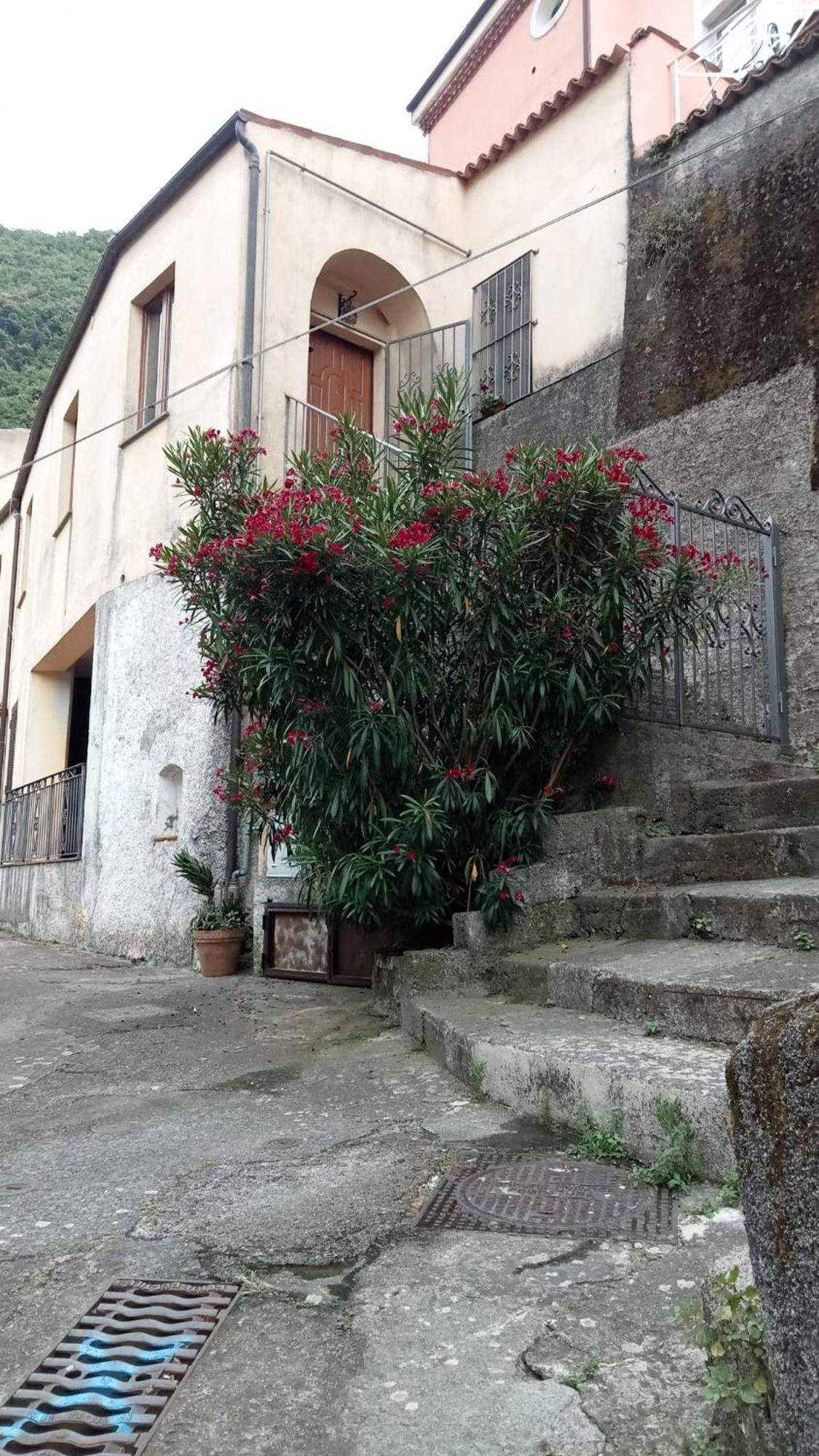 Ferienwohnung L'Oleandro Maratea Exterior foto